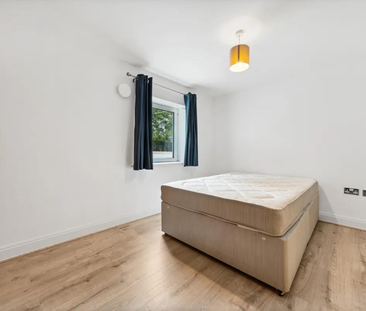 Holland Gardens - Photo 2 | Rentumo
