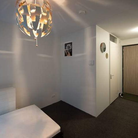 Studio 's-Gravenzandelaan, Den Haag - For Rent - Photo 1