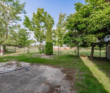 For Lease - 60 Kaitlin Drive Unit# Bsmt, Richmond Hill, Ontario - Photo 4