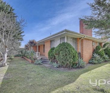 Charming Original Brick Home in Prime Beachside Location - Photo 6