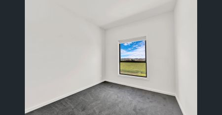 Brand-New Family Living in Peaceful Woodstock - Photo 4