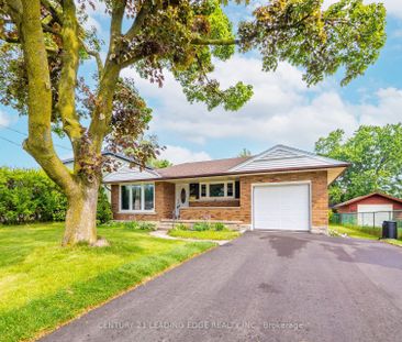 For Lease - 427 Krug Street Unit# Lower, Kitchener, Ontario - Photo 5