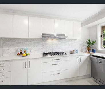 Corner Block Beauty in the Heart of Kings Park - Photo 6