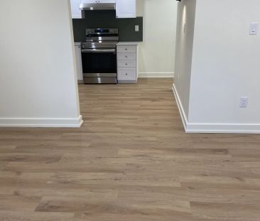 10 Cindy Drive #LOWER - Photo 1