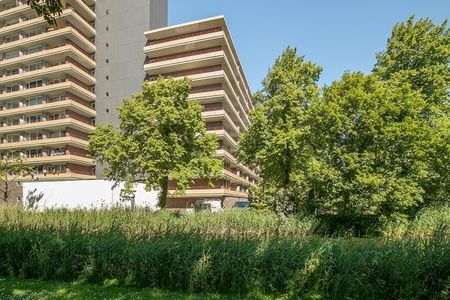 Te huur: Appartement Arthur van Schendelplein 100 in Delft - Foto 5