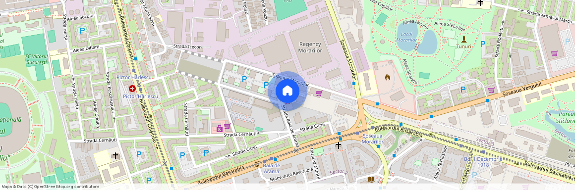 Costin Georgian, Bucuresti