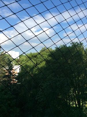 Top renovierte 1-Zimmerwohnung mit Terrasse - Photo 1