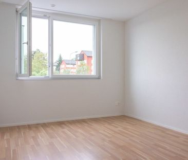 Brugg / 2.5 room apartment 3.3 - Photo 2