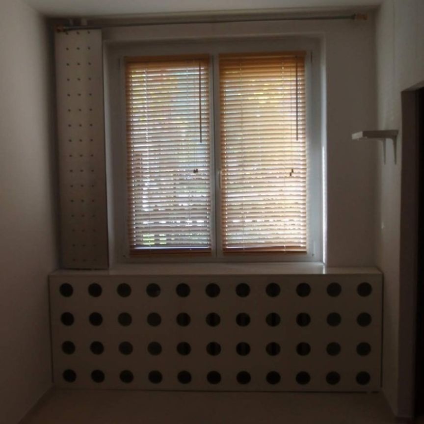Pronájem bytu 2+kk v osobním vlastnictví 45 m², Brno - Photo 1