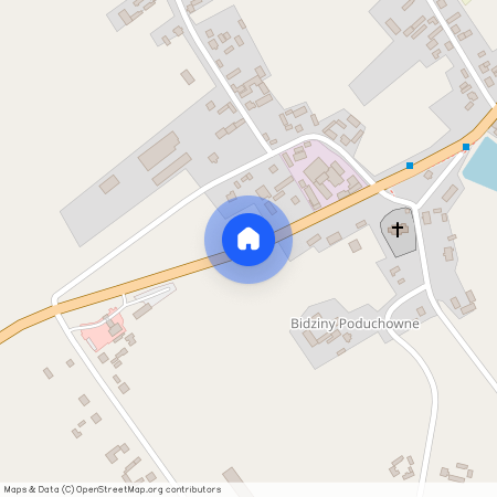 Bidziny, Wojciechowice