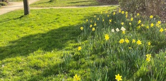 Location Appartement 1 pièce(s) de 15.74 m2 - Photo 2