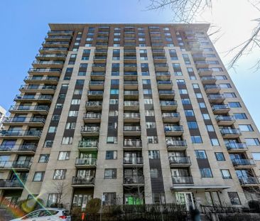 1 Bedroom - 1280 Rue Saint-Jacques, Montréal - Photo 1