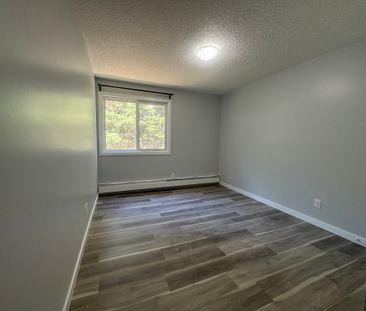 Modern and Spacious 2-Bedroom Apartment - SMALL PET FRIENDLY! - Photo 1