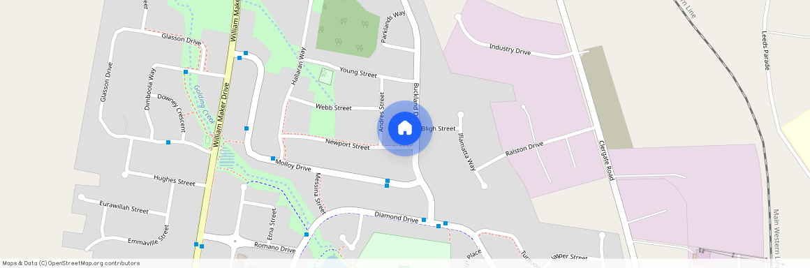 15 Buckland Dr, NSW 2800, Orange