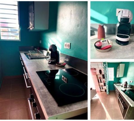 Location Appartement 2 pièces 45m² CAYENNE 97300 - Photo 3