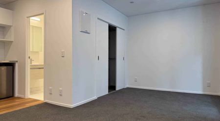 Newly Renovated Apartment - Photo 2