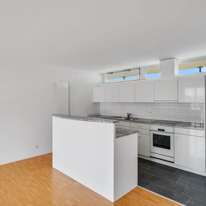 Gepflegte Wohnsiedlung mit moderner Architektur - Photo 1