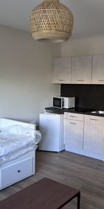 Location Appartement 1 pièce 23m² ILLZACH 68110 - Photo 4