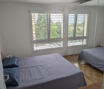 Apartment - Photo 4