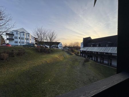 Ruhig gelegene 2,5-Raum-Wohnung mit Balkon - Photo 3