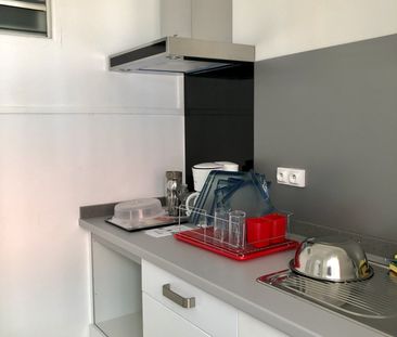 Location Appartement 1 pièce 20m² BASSE TERRE 97100 - Photo 2