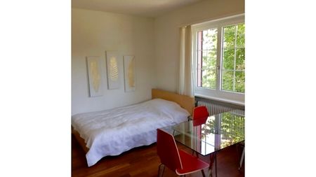 1 Zimmer-Wohnung in Liestal (BL), möbliert - Foto 5