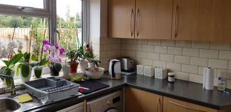 1 bedroom in a house share to rent - Photo 4