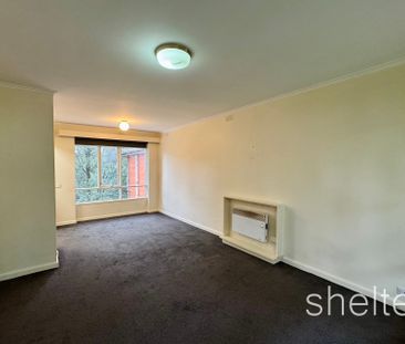 11/299 Burke Road, Glen Iris VIC 3146 - Apartment For Rent | Domain - Photo 2