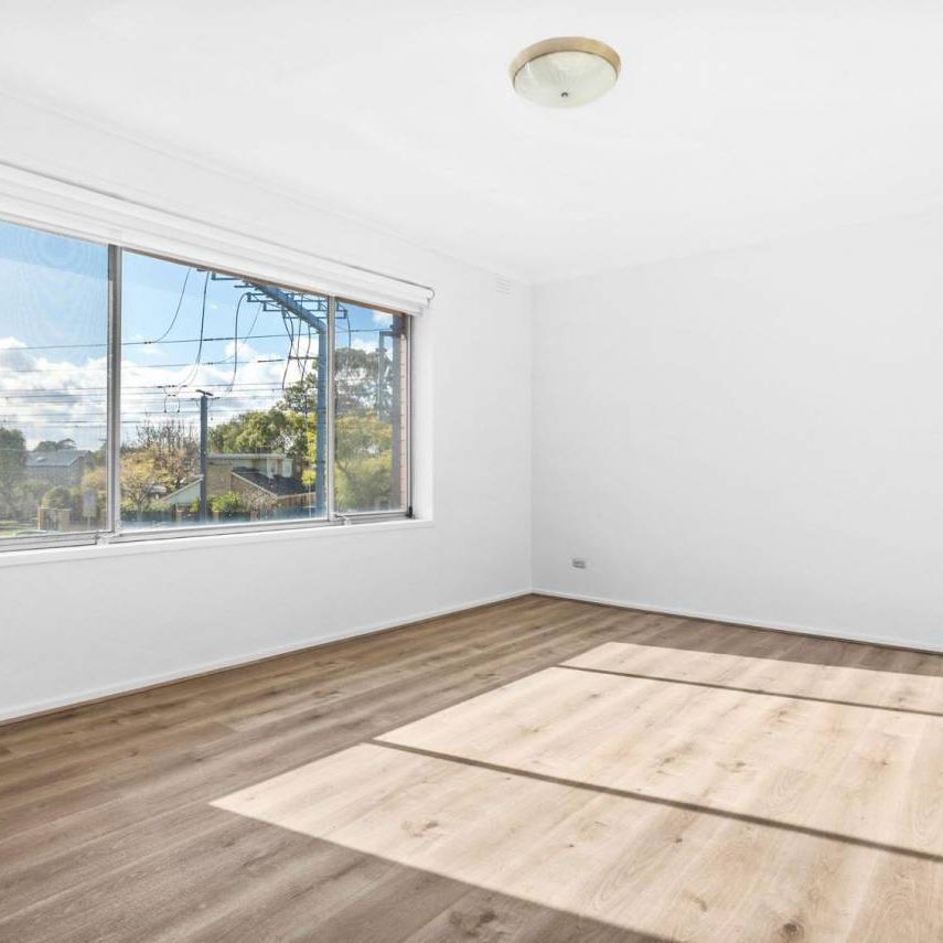 SPACIOUS | FRESHLY PAINTED | GREAT LOCATION - Photo 1