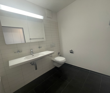 MODERNE WOHNUNG AN FAMILIENFREUNDLICHER LAGE IN HUNZENSCHWIL - Photo 6