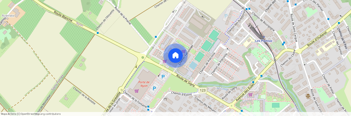 Chemin Falconnier 61 (2A), 1260 Nyon