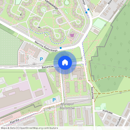ul. Bażantów, Kostuchna, Katowice, śląskie