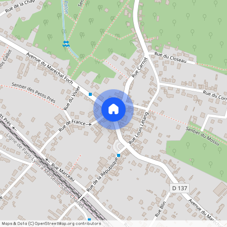 ILE-DE-FRANCE, SEINE-ET-MARNE (77), 77590, Bois Le Roi