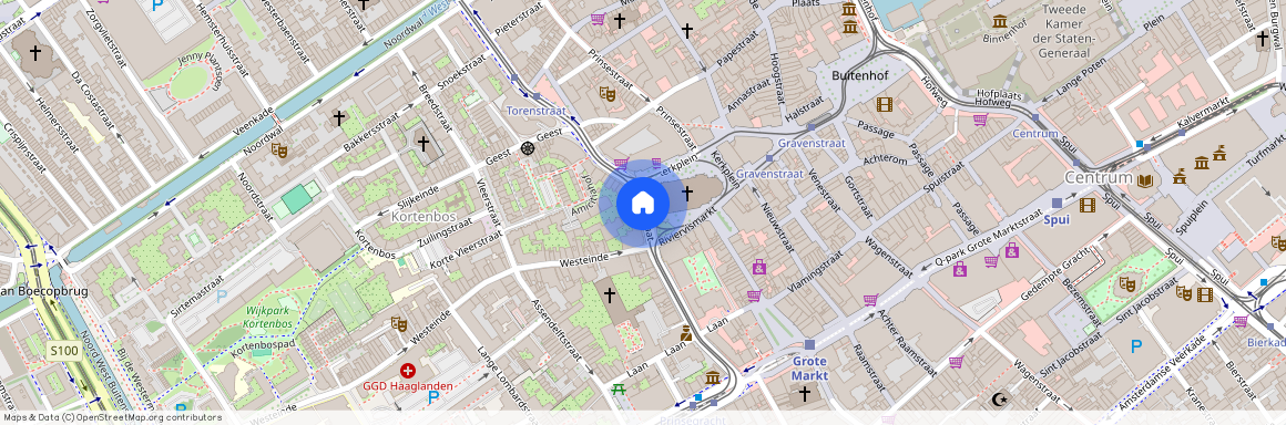 Torenstraat 2513 BS 's-Gravenhage