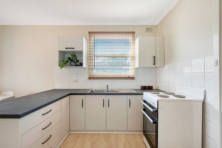 64 Forrestall Road, Elizabeth Downs SA 5113 - House For Rent | Domain - Photo 5