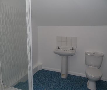 1 bedroom penthouse to rent - Photo 5