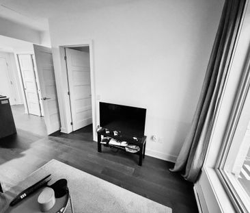 Appartement à louer, Montréal (Le Plateau-Mont-Royal) - Photo 1