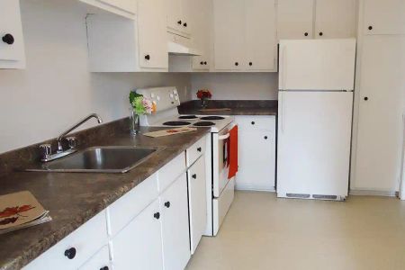 1225 Alexis-Nihon — 3 ½ - Photo 5