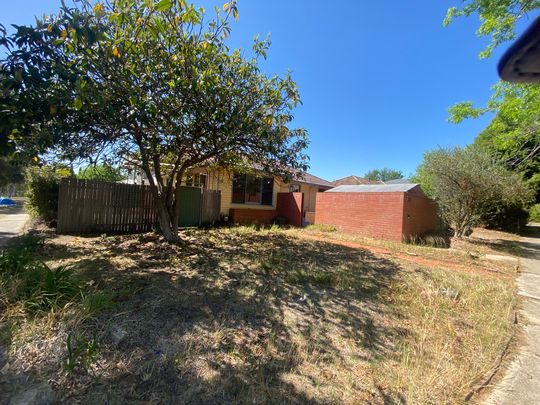 66 Boolimba Cres, Narrabundah ACT 2604 - House For Rent | Domain - Photo 1