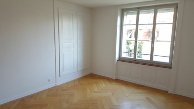 Schöne renovierte Wohnung und Loft nähe Stadtpark - Photo 1