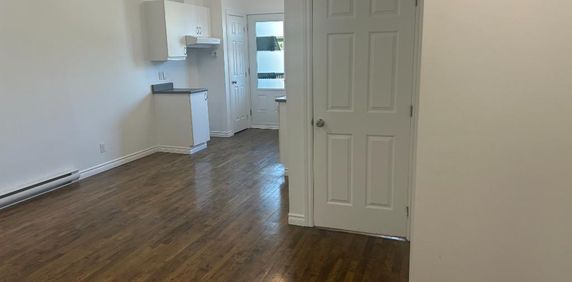 4 1/2 Rosemont-La-Petite-Patrie - Photo 2