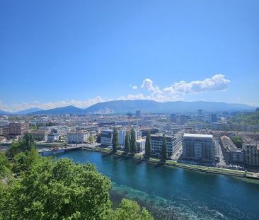 Splendide appartement en attique à Genève ! - Photo 4