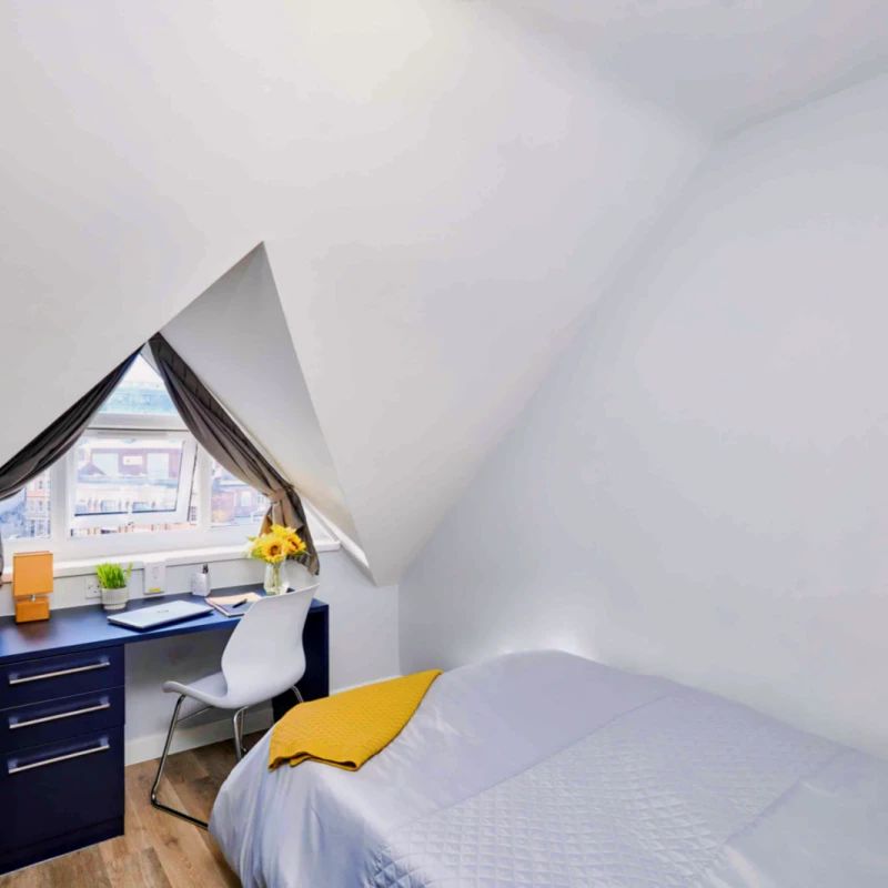 Loft Studio - Photo 1