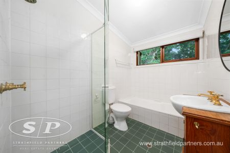 17 Allen Street, Leichhardt NSW 2040 - House For Rent | Domain - Photo 5
