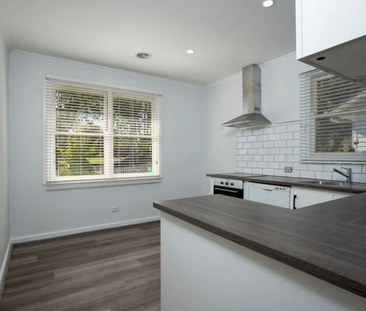 305 Beechworth Road, Wodonga VIC 3690 - House For Rent | Domain - Photo 4