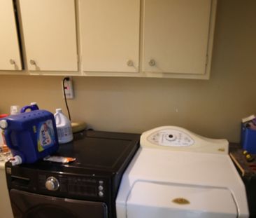 For Lease - 46 Grovetree Road Unit# Walkout Basement, Toronto, Ontario - Photo 1