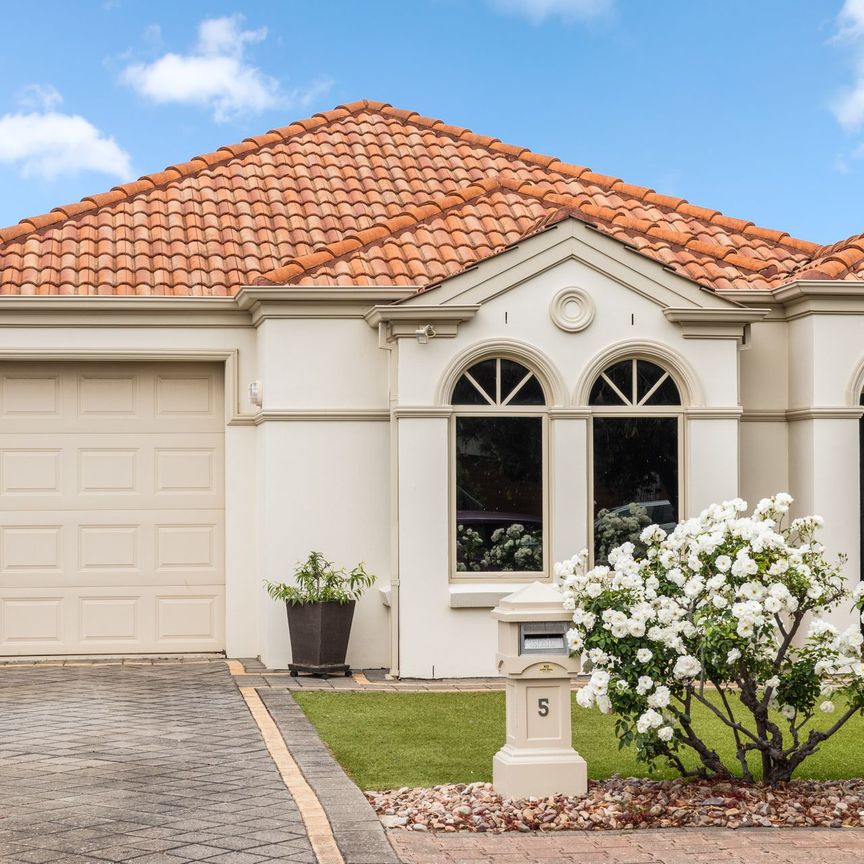 Immaculate Family Home with a Pool! - Photo 1