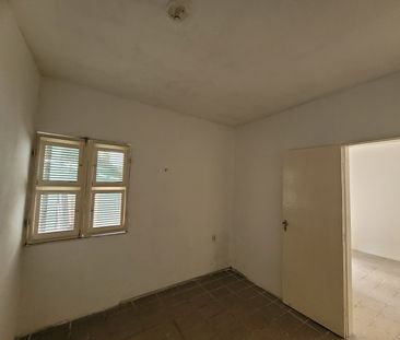 DAMAS - APARTAMENTO - WALDERY UCHOA, 1478 APT A - TÉRREO C/GARAGEM - Photo 5