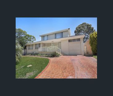 Rare Opportunity: Spacious Family Home with Pool & Private Granny Flat - Photo 6