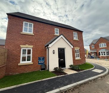 3 Bedroom House To Rent - Photo 6